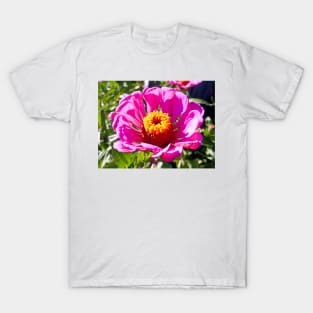 Zinnia Study 3 T-Shirt